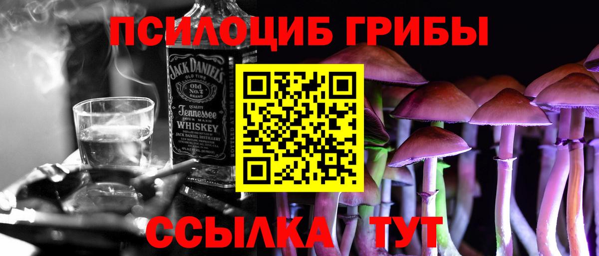 Галлюциногенные грибы Psilocybe  Вход с VPN  Будённовск  Псилоцибиновые грибы GOLDEN TEACHER 