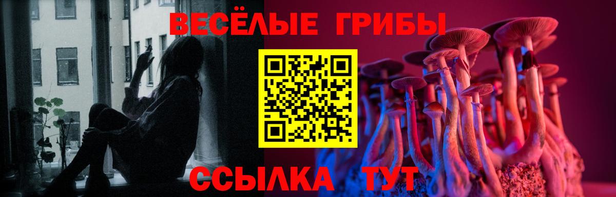Псилоцибиновые грибы MAGIC MUSHROOMS Будённовск