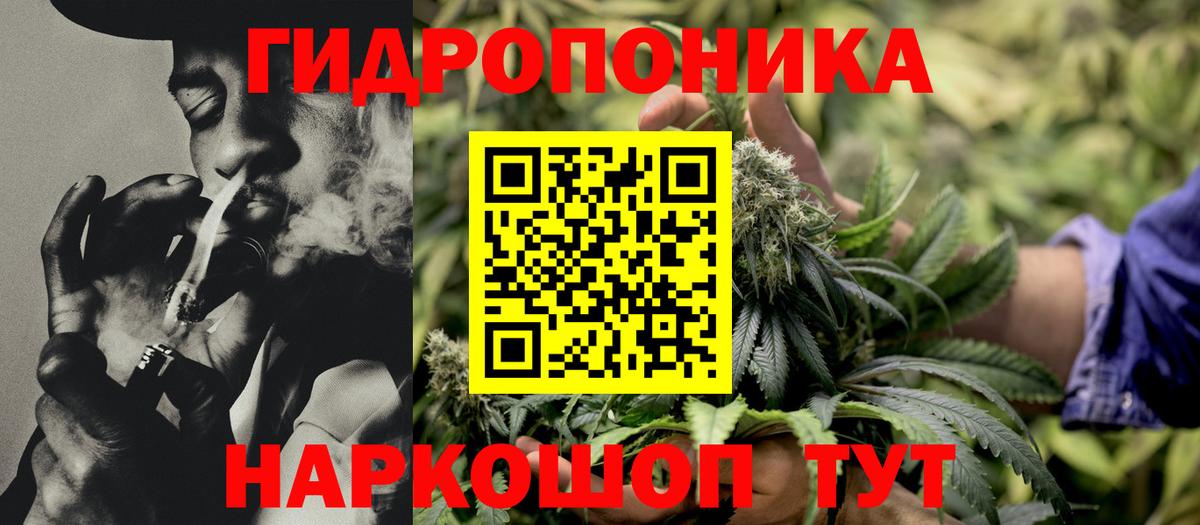 Будённовск  Бошки марихуана MAZAR  Вход с VPN  Каннабис Ganja  Канабис индика 